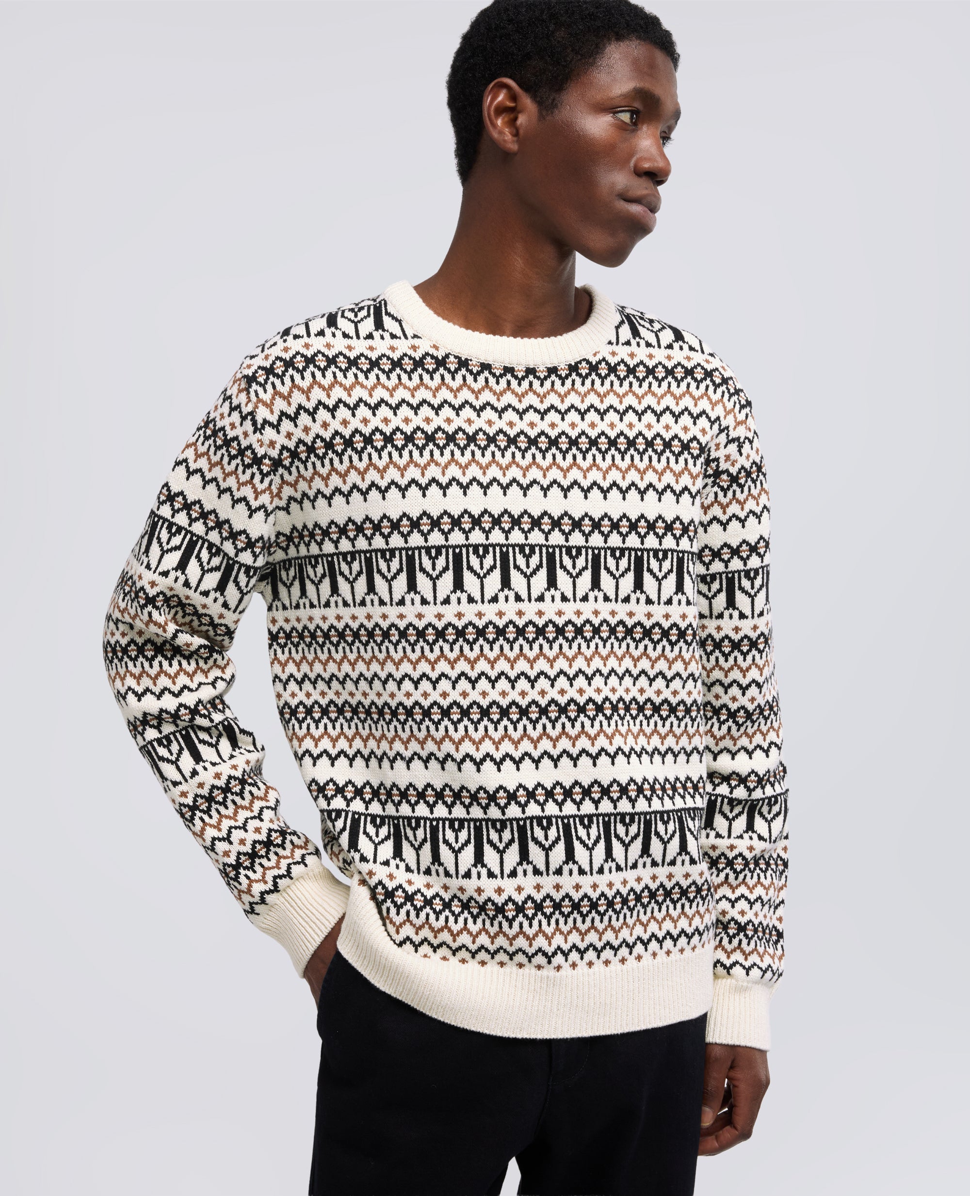 LANGARMELIGER PULLOVER MIT RUNDHALSAUSSCHNITT AUS WATTEMISCHUNG - MULTICOLOR - ASPESI